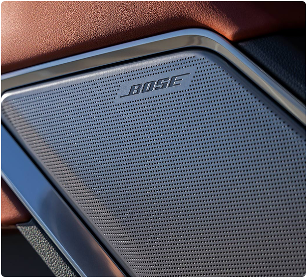 Close-up of a Bose speaker grille set in brown leather door trim