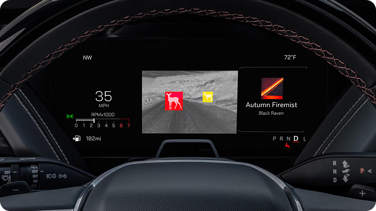 Driver display showing a thermal Night Vision image with a deer highlighted in red